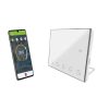 Wireless thermostat SPRING TR8000 RF (white)